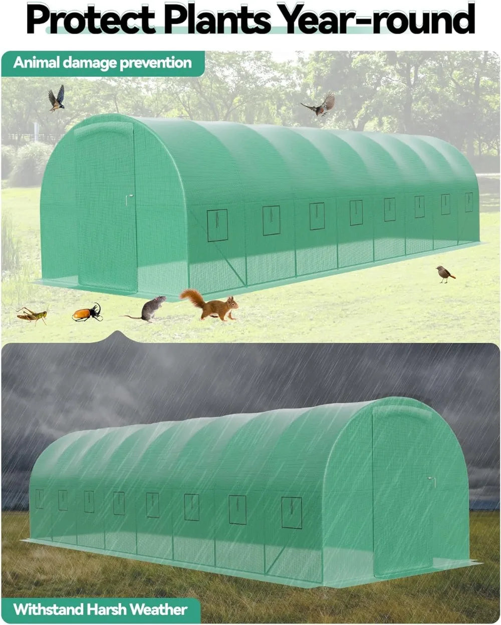 Reinforced Steel Frame 27x10x7 ft Greenhouse