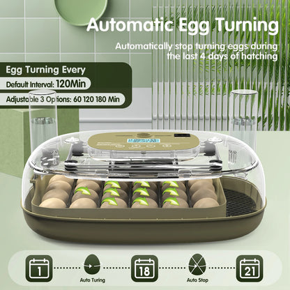 24 Egg Incubator  Automatic Turning, Temperature &  Humidity Control