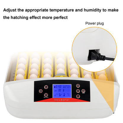 42-Egg  Automatic Poultry Incubator With Egg Candler