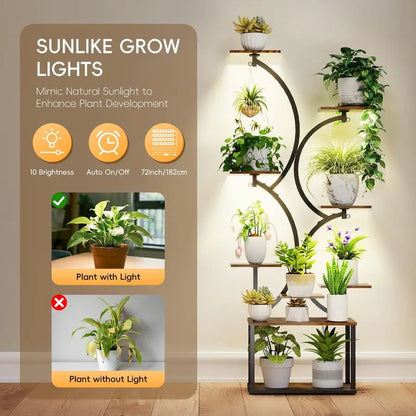 Indoor Plant Stand With Grow Lights