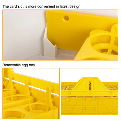 42-Egg  Automatic Poultry Incubator With Egg Candler